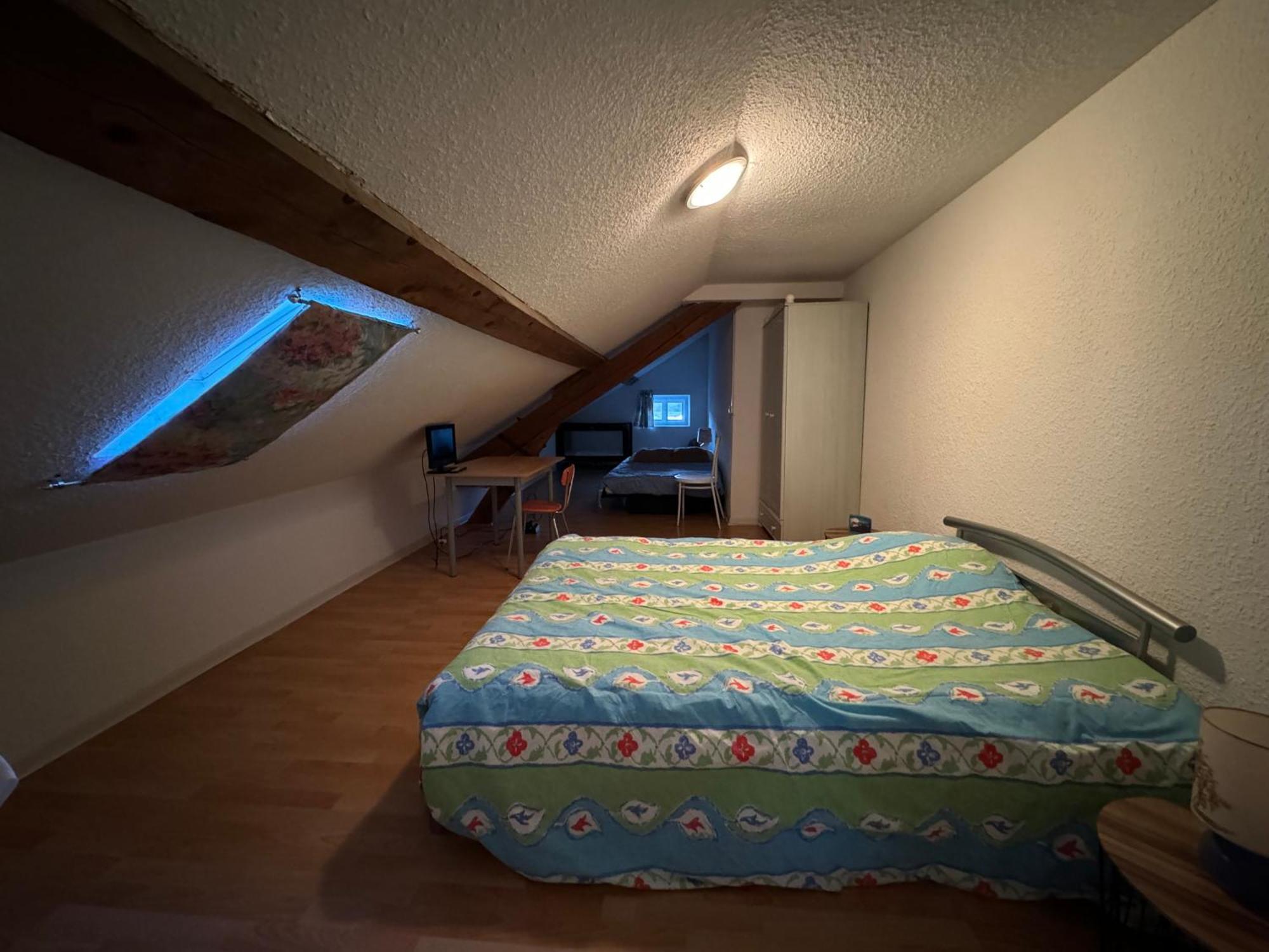 Appartement Logis Balneen Bains les Bains Bagian luar foto